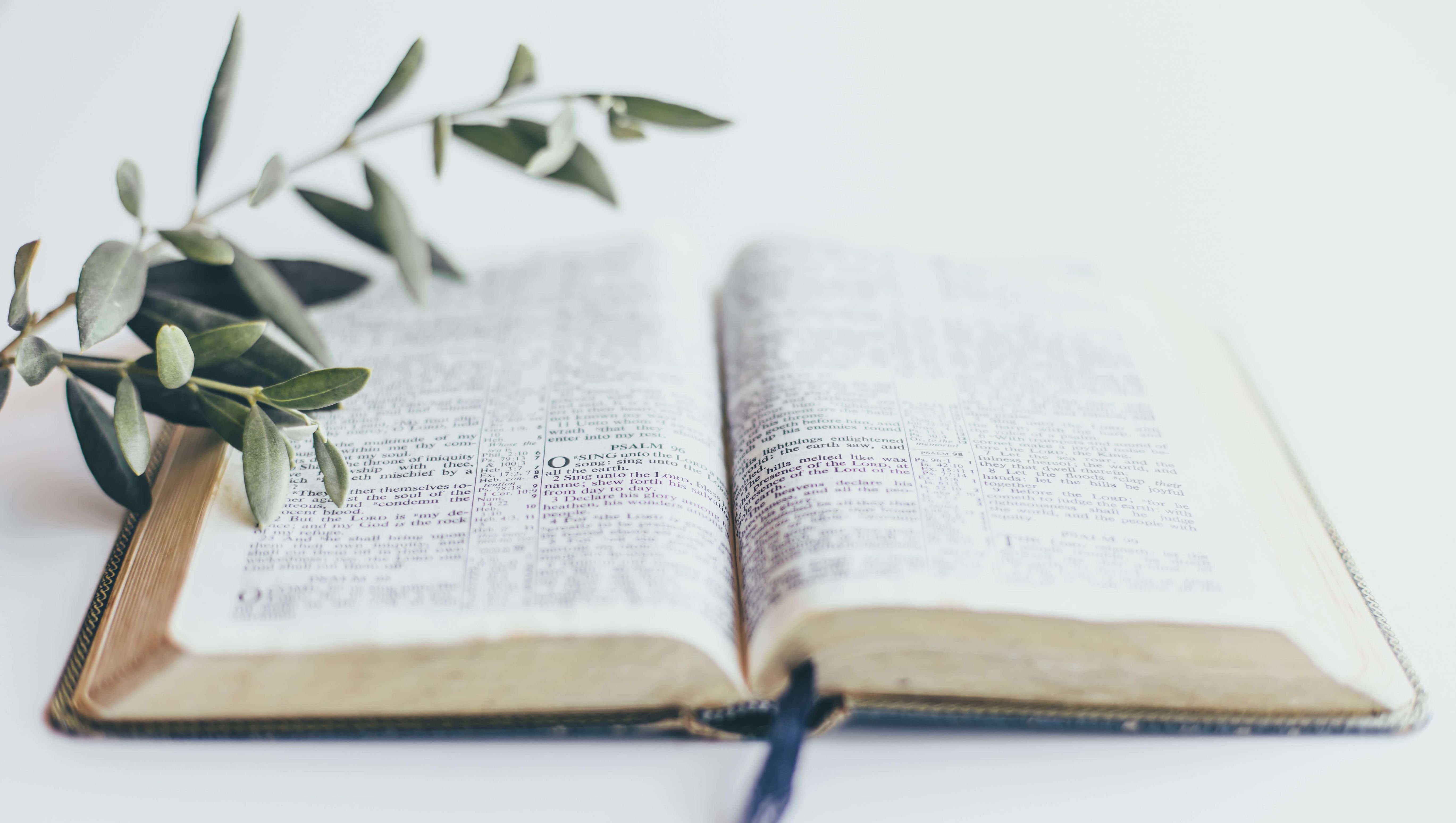 Aufgeschlagene Bibel und Zweig, als Symbol für Frieden und Schrift.
